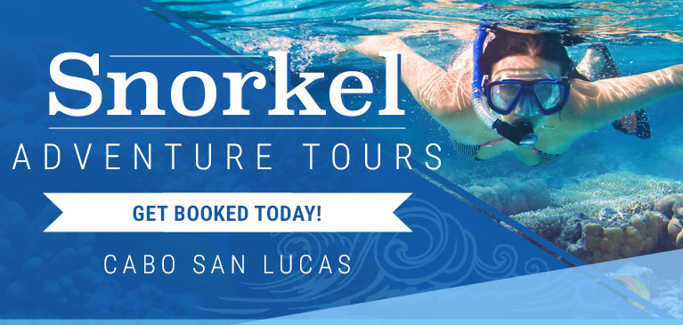 Cabo Snorkeling Tours