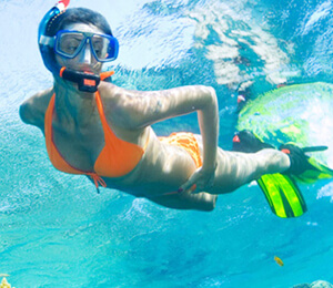 Cabo Snorkeling Tours