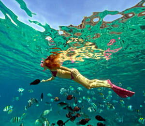 Private Snorkeling Charters