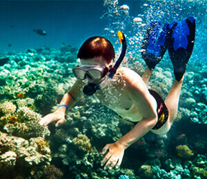 Snorkeling Basics