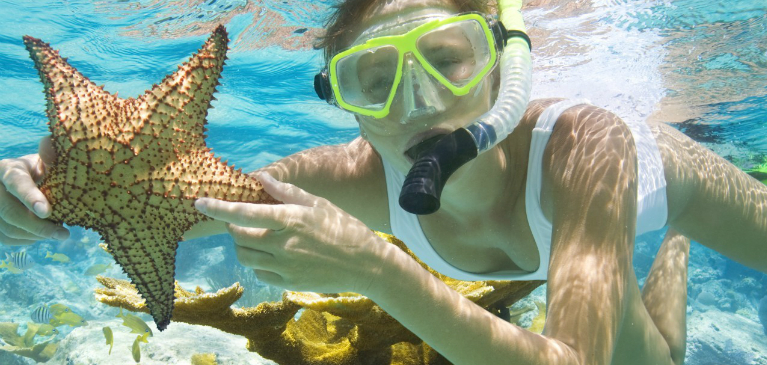 Cabo Snorkeling