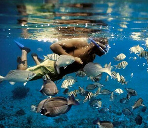 Cabo Snorkeling